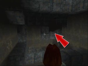 Tomb Raider 1 Level 8 part 4