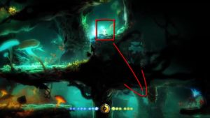 ori-and-the-blind-forest-black-root-burrows-timed-door