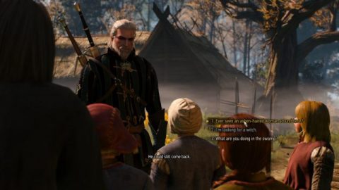 witcher 3 ladies of the wood