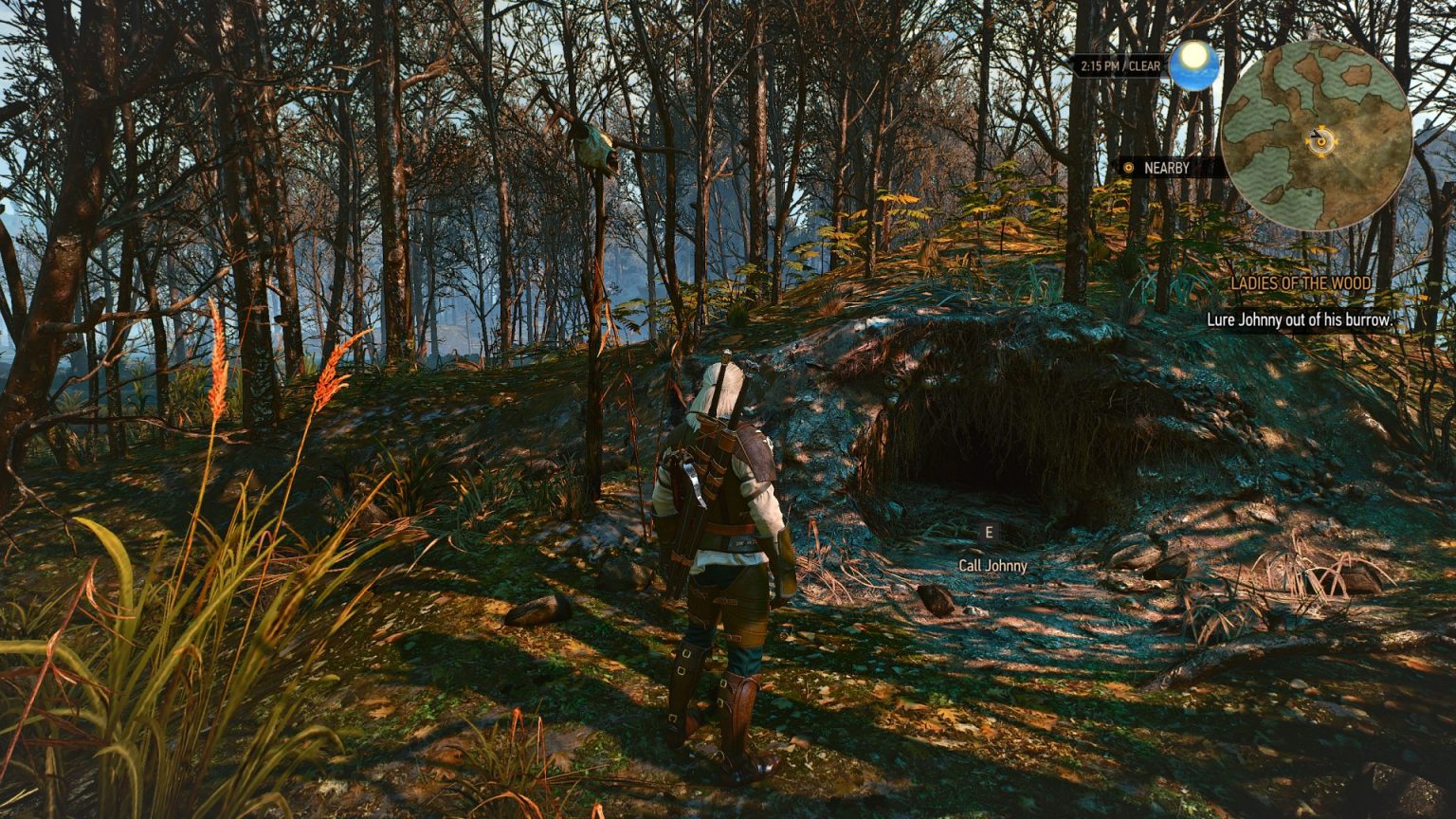 Ladies of the woods witcher 3 ost фото 22